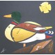 Canard, collage original de Vianney Frain