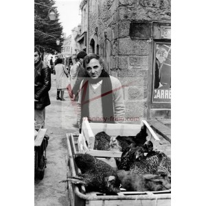 Aznavour et les poules 02